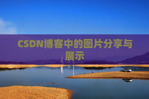 CSDN博客中的图片分享与展示